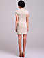  TS Heart-shaped Lace Sheath Dress