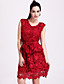  ts bestickte Spitze Kleid mit Gürtel (weitere Farben)