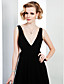  A-line V-neck  Floor-length Cannes Film Festival/ Evening Dress