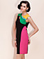  TS Color Block Slimming Sheath Dress