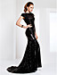  Sequined Bateau Neck Sweep/Brush Train Evening Dress Inspired By Evan Rachel Wood At The Emmys