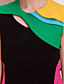  TS Color Block Slimming Sheath Dress
