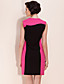  TS Color Block Slimming Sheath Dress