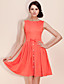  TS Classic Casual Short Swing Dress With Square Neckline Backside