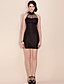  TS Mesh Halter Mini Dress (More Colors)