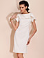  simplicidade ts dobrado vestido bainha colar