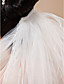  Two-tier Tulle Fingertip Length Veil