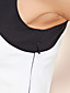  TS Tri-color Belted Dress
