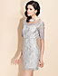 TS Simplicity Mid Sleeve Lace Dress