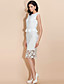  TS Ruffle Waist Cute Sheath Dress