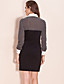  TS Checked Chiffon Long Sleeve Shirt Dress