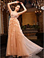  A-line V-neck Sweep Brush Train Tulle Over Chiffon Luxurious Dresses