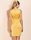  TS Lace Decorate Neck Pleats Dress