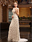  Sheath Column Bateau Sweep Brush Train Tulle Over Chiffon Luxurious Dresses