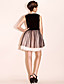  TS Velvet Lace Dress With Mesh Shell