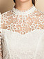  TS Puff Sleeve Lace Embroidery Layered Ruffle Dress