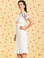  TS VINTAGE Perspective Lace Ruffle Hem Dress