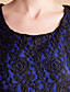  TS VINTAGE Bow Back Lace Sleeveless Princess Dress