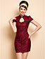  TS Plunging Neck Lace Chinese Bodycon Dress