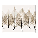 Handmade Oil Painting on Canvas - Leaf 30" x 40" (SZH040)