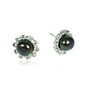 10.5-11mm AA Black Freshwater Pearl Earring (LSP054) (Start From 5 Units) Free Shipping