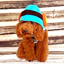 Hund hat