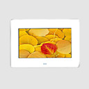 7 inch CSTN Digital Picture Frame With Multi-function card reader and MP3 and Video Player(SMQ2028)