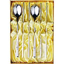 2-pc High Quality Steel Kitchen Tableware set (0612-TR-17)