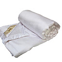 couette en soie naturelle (0586 -179739)
