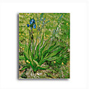 Stretched Canvas Handmade The Iris Painting by Vincent Van Gogh  0192-YCF103217