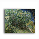 Stretched Canvas Handmade Lilac Bush Painting by Vincent Van Gogh 0192-YCF103189