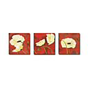Hand-painted Floral Oil Painting with Stretched Frame - Set of 3