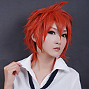 Cosplay Wig Inspired by Hikaru no Go Tetsuo Kaga