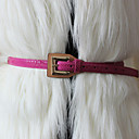 TS Square Buckle Belt (More Colors)