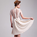 ts zilveren organza jurk