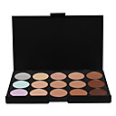 15 kleuren concealer plaat