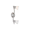 Artistic Metal Flush Mount Spot Lights with 2 Lights Glass Shades