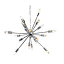 Modern 20 - Light Pendant Lights in Radial Feature