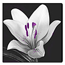 Printed Botanical White Flowers Canvas Art with Stretched Frame