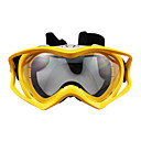Outdoor Stijlvolle Skiën Goggles met transparante lens