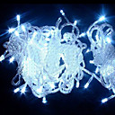 10M White LED String Light with 100 LEDs(Star)