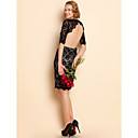 TS Sexy Elastic Backless Lace Dress