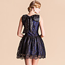 TS VINTAGE Bow Back Lace Sleeveless Princess Dress