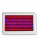LED Plant Grow Light with 144 LEDs