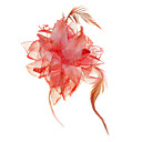 Tela Chic Con las mujeres ata / Feather Tocados / Broche