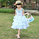 Lovely Sleeveless Polyester Wedding/Evening Flower Girl Dress