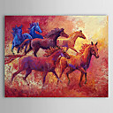 Mano Pintura Pintado Petróleo Animal Caballo 1304-AN0070