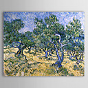 Beroemde olieverfschilderij Olijf-Bosje van Van Gogh