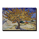 Mulberry Tree, c.1889 by Vincent Van Gogh Famous Stretched Canvas Print