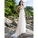 vaina / columna cariño barrer / cepillo tren vestido de gasa de la boda